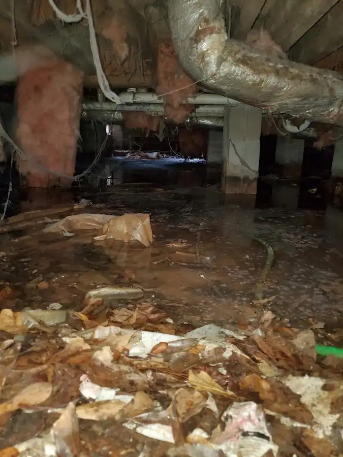 Crawl space flood assessment for Leak Detection & Repair in Chicago Ridge